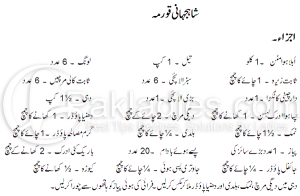 shahjahani korma recipe