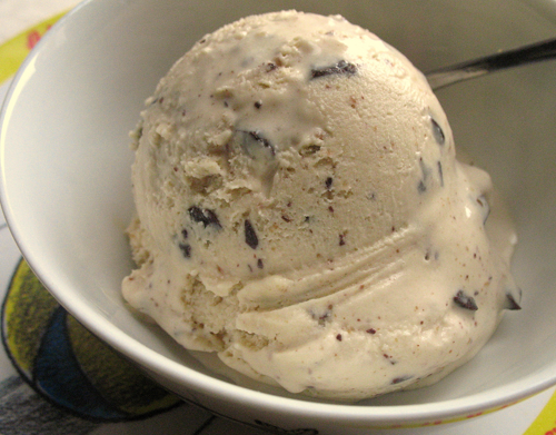 Double Chocolate Chip Ice Cream Recipe