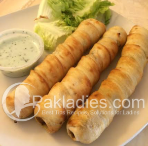 Roly Poly Kebab Roll