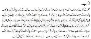 Baray Mian Ki Mutton Biryani