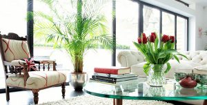 Living Room Ideas for Summer