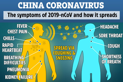 coronavirus 