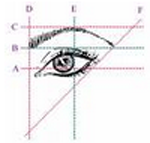 eye brow shape 2