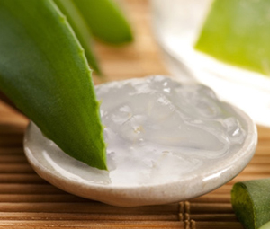 Aloe Vera for Acne