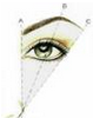 eye brow shape 3