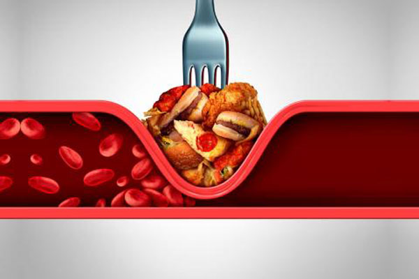 How to Reduce Fat Intake?
